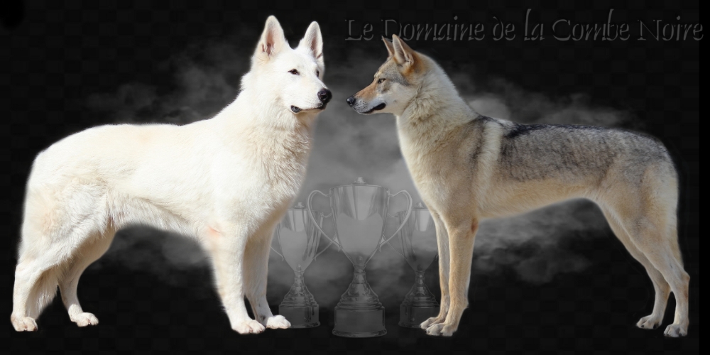 le 31 mai 2010