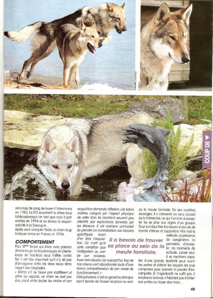 le 20 JUIN 2010